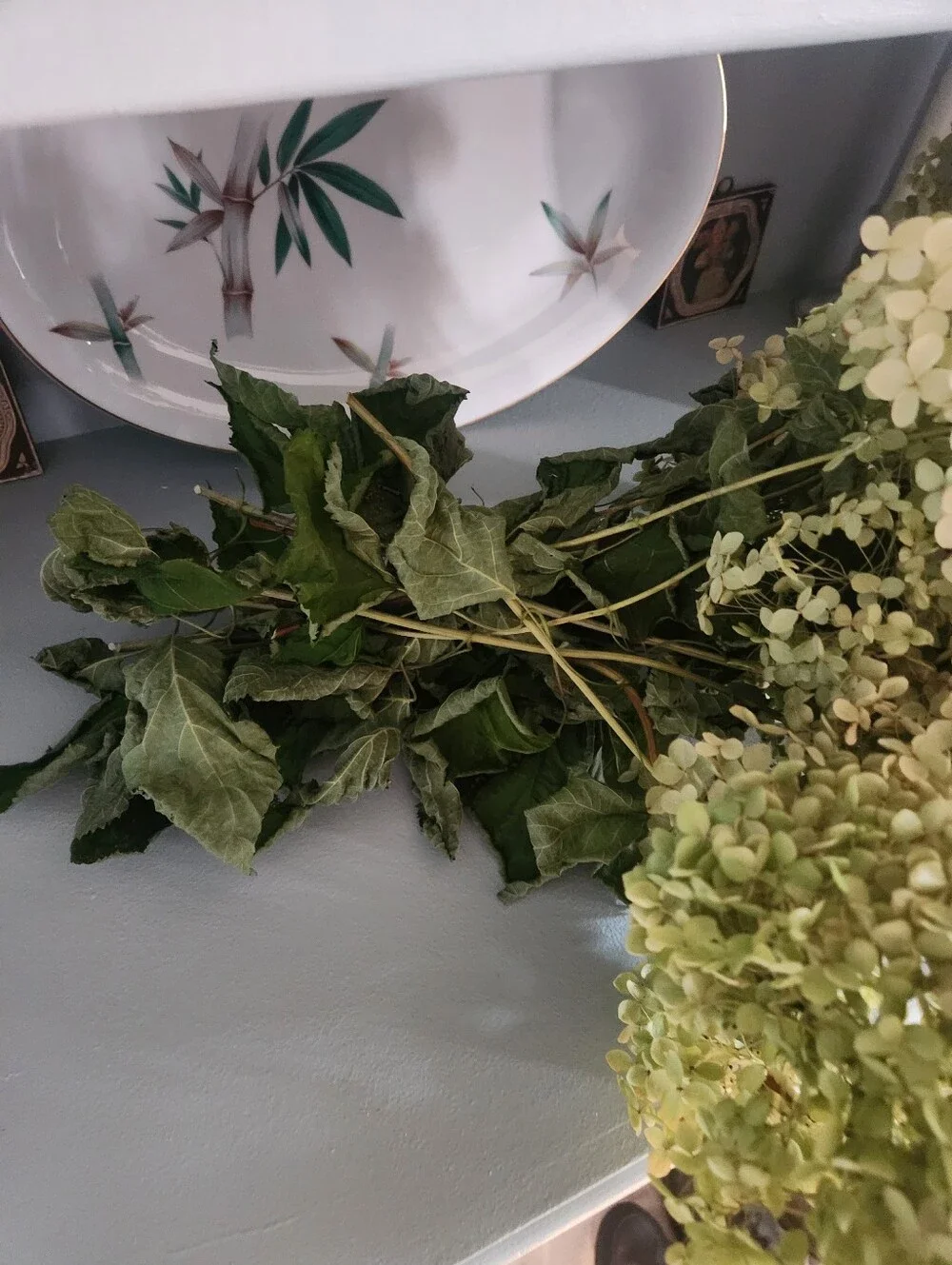 Over 6 Stems Of Real Fragile Dried Annabelle Hydrangeas